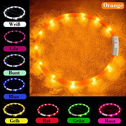 Hunde Leuchthalsband Anicoll LED mit USB Wiederaufladung