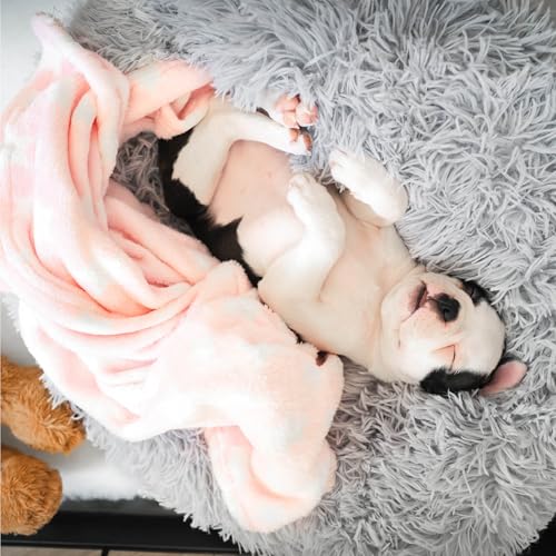 Amazinggirl Hundebett für kleine mittelgroße und Grosse Hunde ∅ 80 cm - Hundekissen Hundebetten Hundesofa Dog Bed Hundematratze Hundekorb oder Wolkenbett flauschig und waschbar Hellgrau