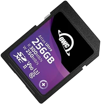 OWC Atlas Ultra 256GB SDXC UHS-II V90 Memory Card