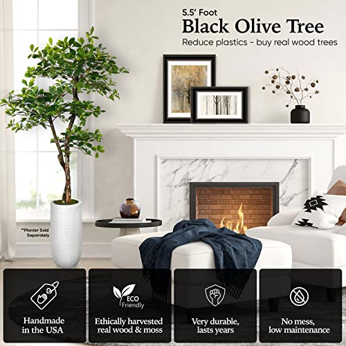 Hand-Made Italian Black Olive Leaf 5.5' Artificial Tree, Green, Cypress & Alabaster #TOP2