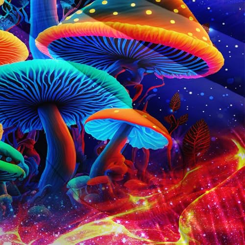 Image of AILONEN Kids Mushroom Bedding Set Queen Size,Starry Night Wild Fungus Duvet Set for Boys Girls,Colorful Mushroom Butterfly Comforter with 2 Pillowcases,3Pcs