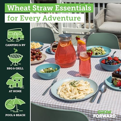 16-Piece Seascape Wheat Straw Set