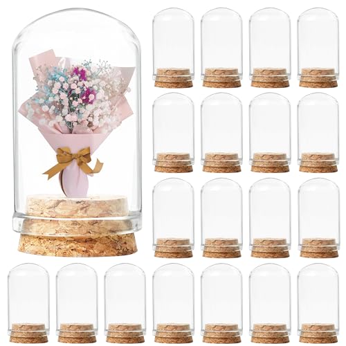 Winter Shore Botellas de Cupula Cristal Pequeña 9 ml [Pack de 20] - Botes Cristal Pequeños de Exhibición para Plantas, Flores, Figuras - Campana Cristal Decorativa con Tapón de Corcho
