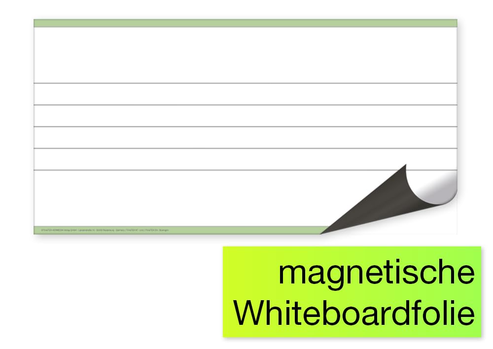TimeTEX - Magnetisches Whiteboard-Demo-Notenlinien | Beschreibbar und Abwischbar | 2-tlg. Set inkl. A4-Kopiervorlage