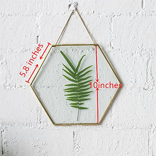 Ncyp (Side Length 5.8 Inches Brass Glass Frame For Pressed Dried Flowers, Poster, Double Glass, Hanging Hexagon Herbarium, Floating Frame Style (Glass Frame Only) #TOP5