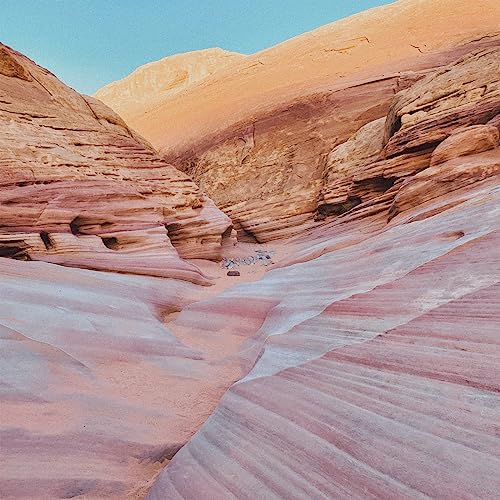 Lara Somogyi & Cyrus Reynolds