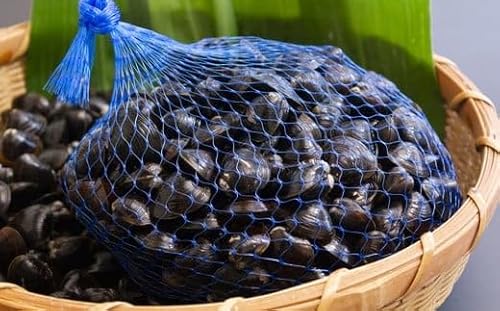 118ひぬま産採れたて大和しじみ[冷蔵]1.5kg