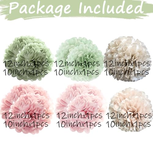Image of Tissue Paper Pom Poms Kit -Rose Pink and Sage Green Paper Flowers 12pieces for Gender Baby Shower Wedding Bridal Bachelorette Birthday Party Decorations (Green + Pink)