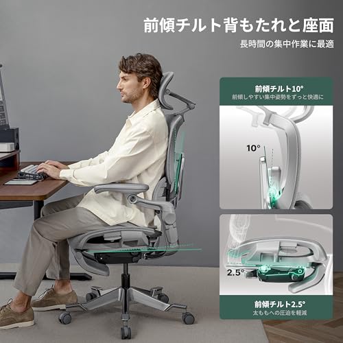 HINOMI H2 Pro オフィスチェア の商品画像 4