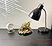 Betterdecor Feng Shui Gold Money Frog Three Legged Wealth Toad Chan Chu Statue Home Office Deocration for Housewarming Congratulation Holiday-3.5
