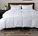 Basic Beyond All-Season Goose Down Comforter (Queen) - Premium Down Duvet Insert with Hypoallergenic Down Proof Cotton Shell