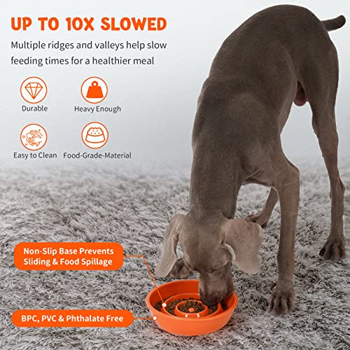 Pettom Ceramic Slow Feeder,3 Cups Slow Feed Dog Bowl,Preventing Choking,Puppy Bowl,Puzzle Feeder,Orange #TOP1