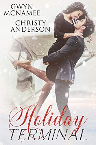 Holiday Terminal: (A Second Chance Secret Baby Billionaire Holiday Romance) (The Warren Family Holidays Book 1) by [Gwyn McNamee, Christy Anderson]