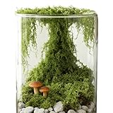 Genérico Musgo Artificial | 300g Relleno Vegetal Realista Falso - Musgo Decorativo para Plantas de Interior - para Macetas Pared Jardineras Suculentas Terrario Navidad y Exteriores