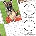2020 Puppies Wall Calendar (LME1001020)
