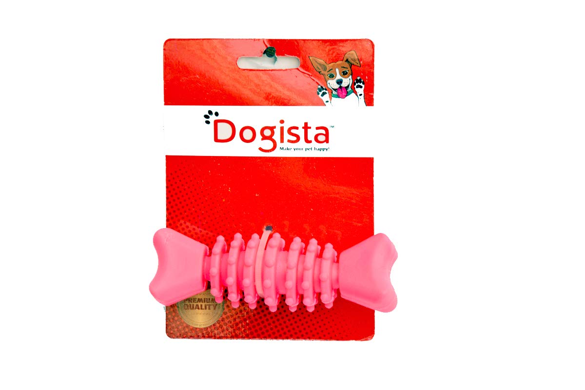 Buy Dogista C018 Pet Toys Online at Low Prices in India Amazon.in