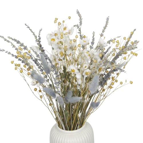 Ramo de flores secas naturales para decoración miniatura 1