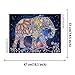 Vienrose DIY 5D Partial Diamond Painting Kits for Adults & Kids 18.5X14.5 in Starry Night and Elephant Special Shaped Beads Diamond Arts Paint by Number Kits for Wall Decor Romantic Gifts