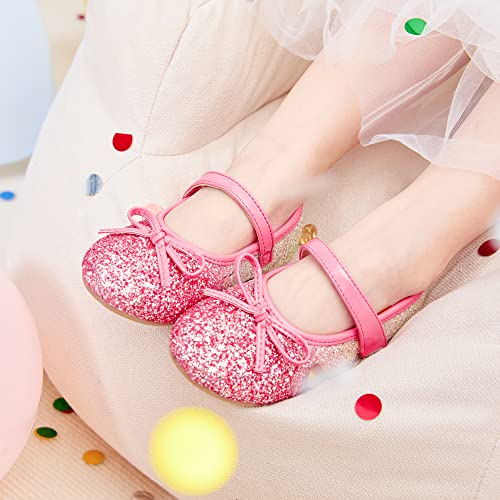 Image of Felix & Flora Toddler Flower Girl Dress Shoes - Girl Ballet Flats Party School Shoes Wedding