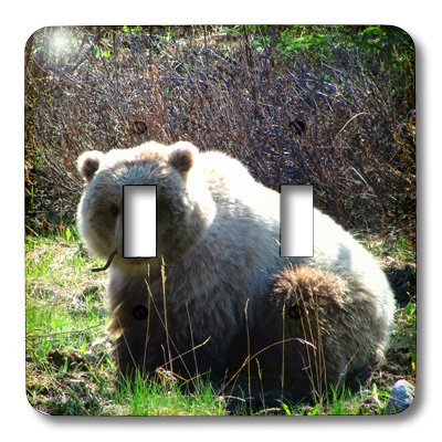 Interrupteur à bascule double 3dRose lsp_21587_2 Grizzly Yukon - 3