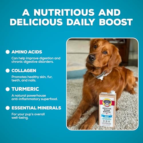 Image of Brutus Broth Dog Food Topper - Instant Bone Broth Liquid for Adult Dogs - Supports Hip and Joint Function - Human-Grade Quality, Serve Dry or Wet - Beef Flavor, Pack of 2