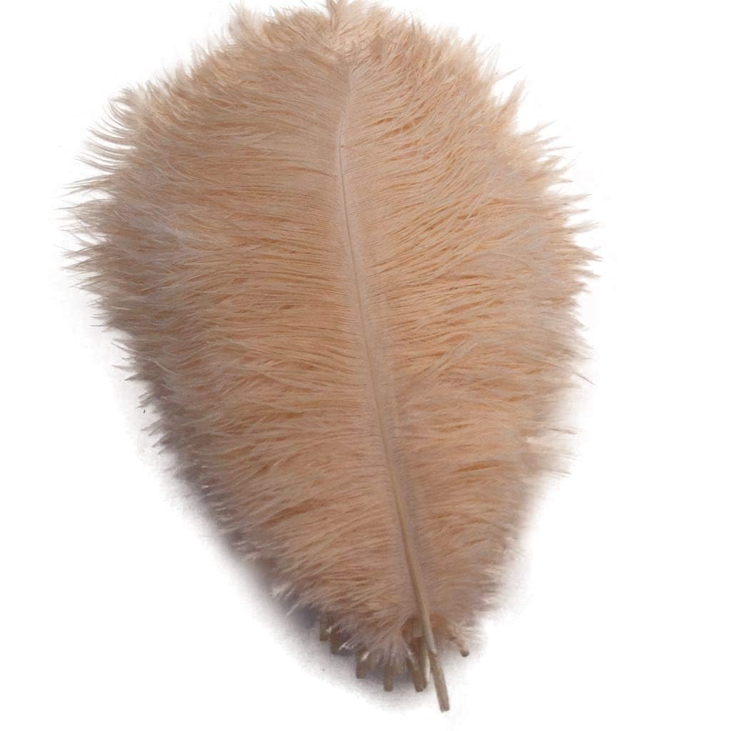 Shekyeon 10-12inch 25-30cm Ostrich Feather Home Decoration DIY Craft Pack of 10(Champagne)