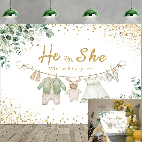 Toile de fond verte he or she pour célébrer l'arrivée de votre bébé