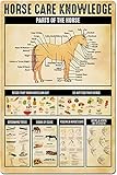 Letreros de metal con información sobre el cuidado de los caballos, carteles educativos vintage sobre el cuidado de los caballos, decoración de pared para aulas, dormitorios de invitados, baños, cueva