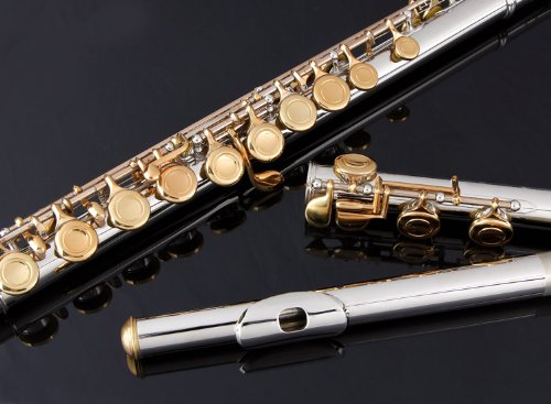 Image of Glory Closed Hole C Flute With Case, Tuning Rod and Cloth and Gloves, Nickel /Laquer