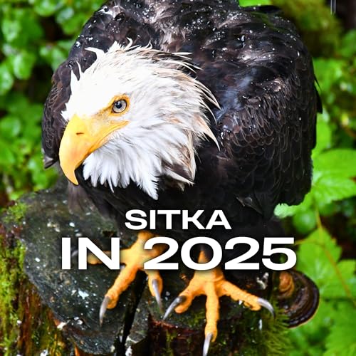 Visiting Sitka in 2025 cover art