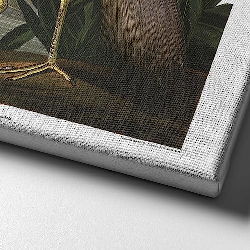 Impression giclée Louisiana Heron Spiffing Prints format XL - 3