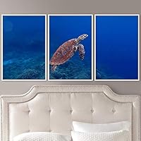 3 Piece Framed Canvas Wall Art Turtle Under The Surface Canvas Prints Home Artwork Decoration for Living Room,Bedroom - 16