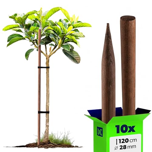KADAX Tuteur en bois, bâtons de plantation imprégnés, bâton pour plantes grimpantes, tige résistante aux intempéries, bâton pour fleurs, treillis, piquets en bois, piquets (10, 28 mm x 120 cm)