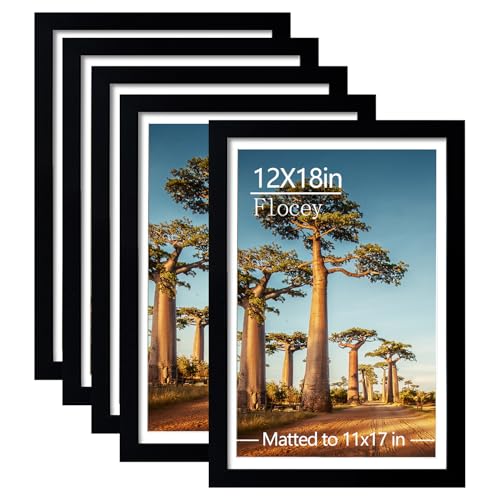 Flocey 12x18 Picture Frame Set of 5, Black Poster Frame,