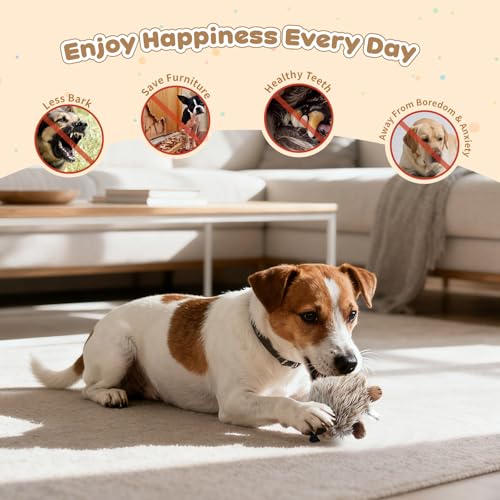 Pawaboo Plüschspielzeug für Hunde, Igel Plüsch Hundespielzeug Interaktiv Hundspielzeug mit Quietscher, Ungiftig Ultra Weich Robust für Hunde Katzen Beißen Spielen Training, M Size für kleine Hunde