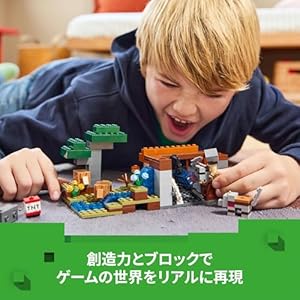 Amazon.co.jp - レゴ® マインクラフト アルマジロのサバンナ探検 21269
