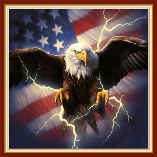Image of Joyhoor Cross Stitch Kits for Beginners, Stamped Cross-Stitch Supplies, Needlework, Preprint Embroidery Kits, Adults DIY, Needlepoint Kits, Embroidery Patterns, 11CT-Eagle Flag, 18x18 inch