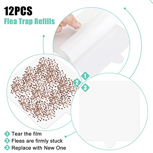 Kittmip 12 Pack Flea Trap Refill 6 Inch Replacement Sticky Glue Pads Compatible With Terro T230, T231 Flea Trap Refill, Glue Refill Board For Pet, Flies, Fleas, Mosquitos Control, Family Safe #TOP2