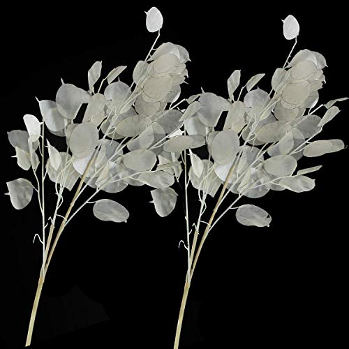 Rinlong Artificial Lunaria Biennis Annual Honesty Silver Dollar Plant Leaves Fake Winter White Flowers Artificial Fall Foliage Fake Greenery For Wedding Baby Shower Bouquet Flower Arrangements Buy Online In Hong Kong At