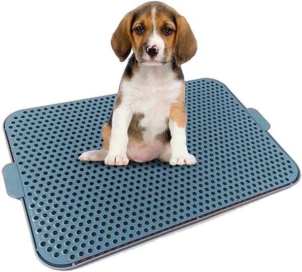 Tapete Higiênico Sanitário Lavável para Pets | XixiDog | Cães Ham...