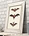 Vintage Bat Painting Print - Great Home and Farmhouse Bat Decor, Halloween Decorations, Gothic Room Decor, Science Room Wall Art, Great Gift for Bat Lovers,11x14 Unframed Art Print Poster