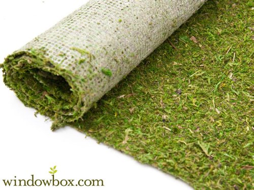 Windowbox Preserved Green Moss Roll - 8 ft.