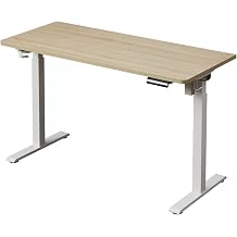 Electric Height Adjustable Standing Desk 120 * 60Cm,Ergonomic Home Office Computer Workstation,with T-Shaped Metal Bracket and Memory Preset, Size