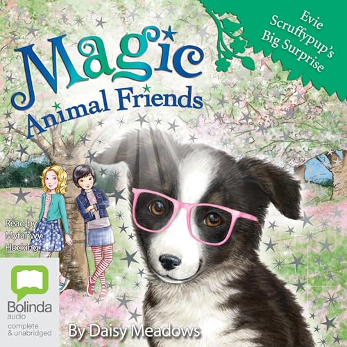 Enjoy Evie Scruffypup's Big Surprise from Daisy Meadows episode artwork