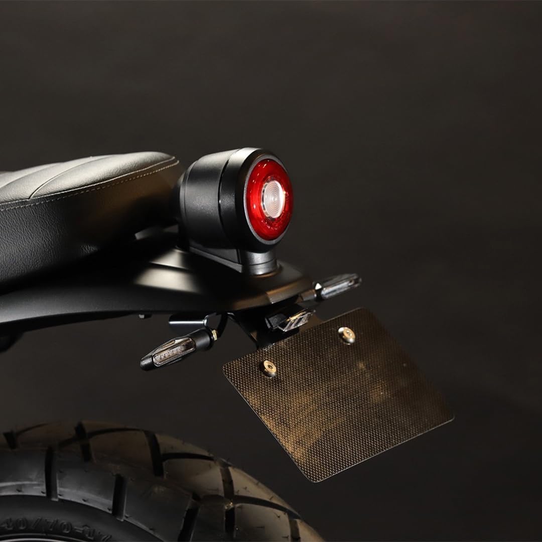 Amazon | ZAMA製 XSR125用/XSR155用スムースダークフェンダーレス