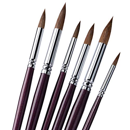 6pcs Round Point Tip Paint Brush Set Sable Hair Artist Quality Art Painting Brush