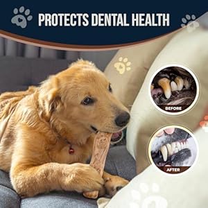 Coffee Wood Dog Chew Stick 9.7" & Natural Dog Rope Toys Size Large for Regular Chewers - 100% Organic Wood Stick for Dog - Teeth Cleaning, Relieve Stress Coffee Wood Dog Chew Stick 9.7″ & Natural Dog Rope Toys Size Large for Regular Chewers – 100% Organic Wood Stick for Dog – Teeth Cleaning, Relieve Stress