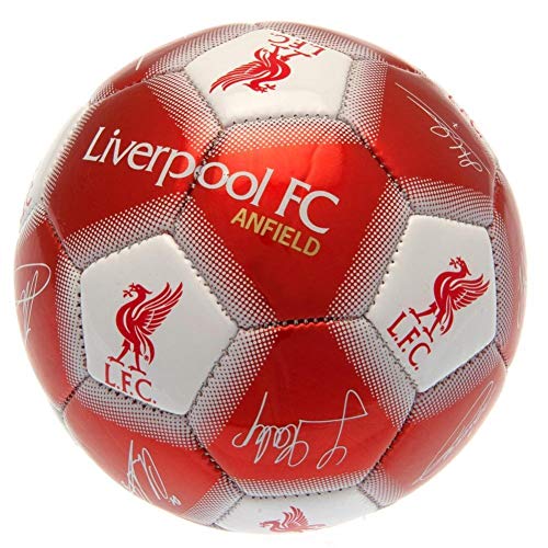 Liverpool FC Signature Mini Ball (One Size) (Red)