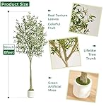 8FT Artificial Olive Tree Indoor with Pot - Realistic Wood Trunk & Fruits, Extra Large Faux Plant for Home Office Décor, Tall Fake Olive Tree 8-Foot with Moss White Planter - Image 5