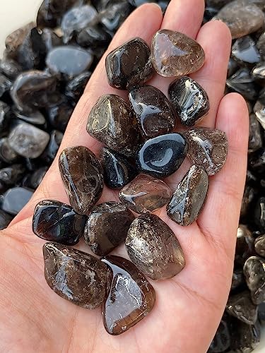 Image of GAF TREASURES 1 /2 LB Smoky Quartz Tumbled Stones, Polished Smoky Quartz Gemstone, Smoky Quartz Healing Crystals (Smoky Quartz)